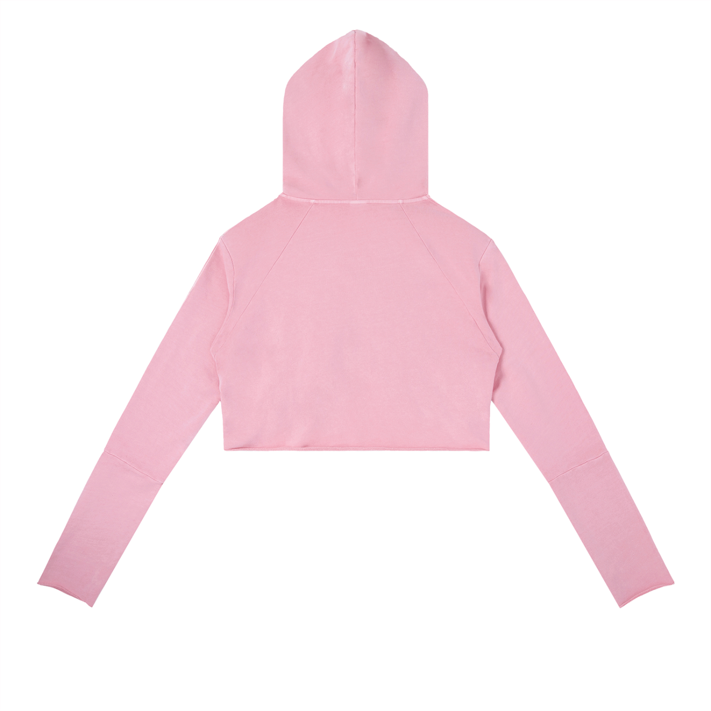 Butter Swan Vintage Raw Edge Hoodie