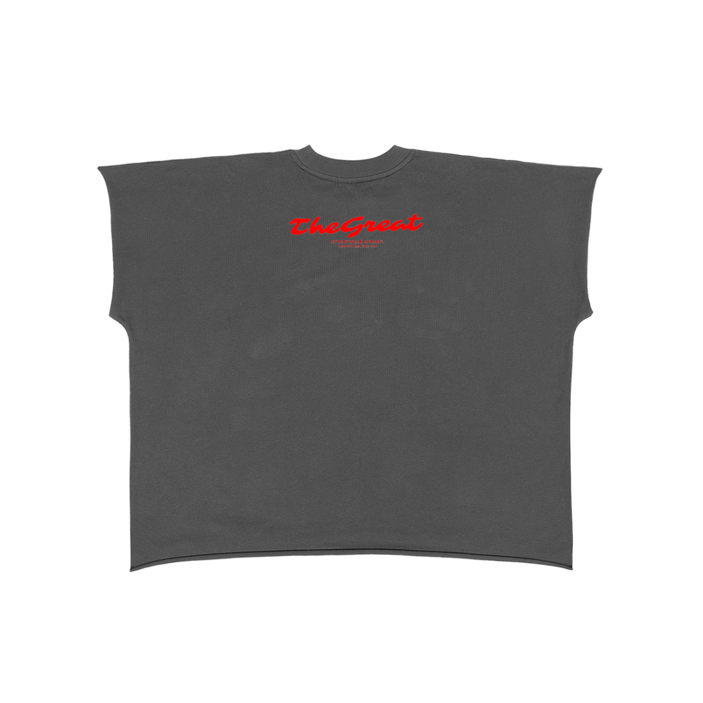 T.G.Lion  Boxy Non-Shrink T-Shirt
