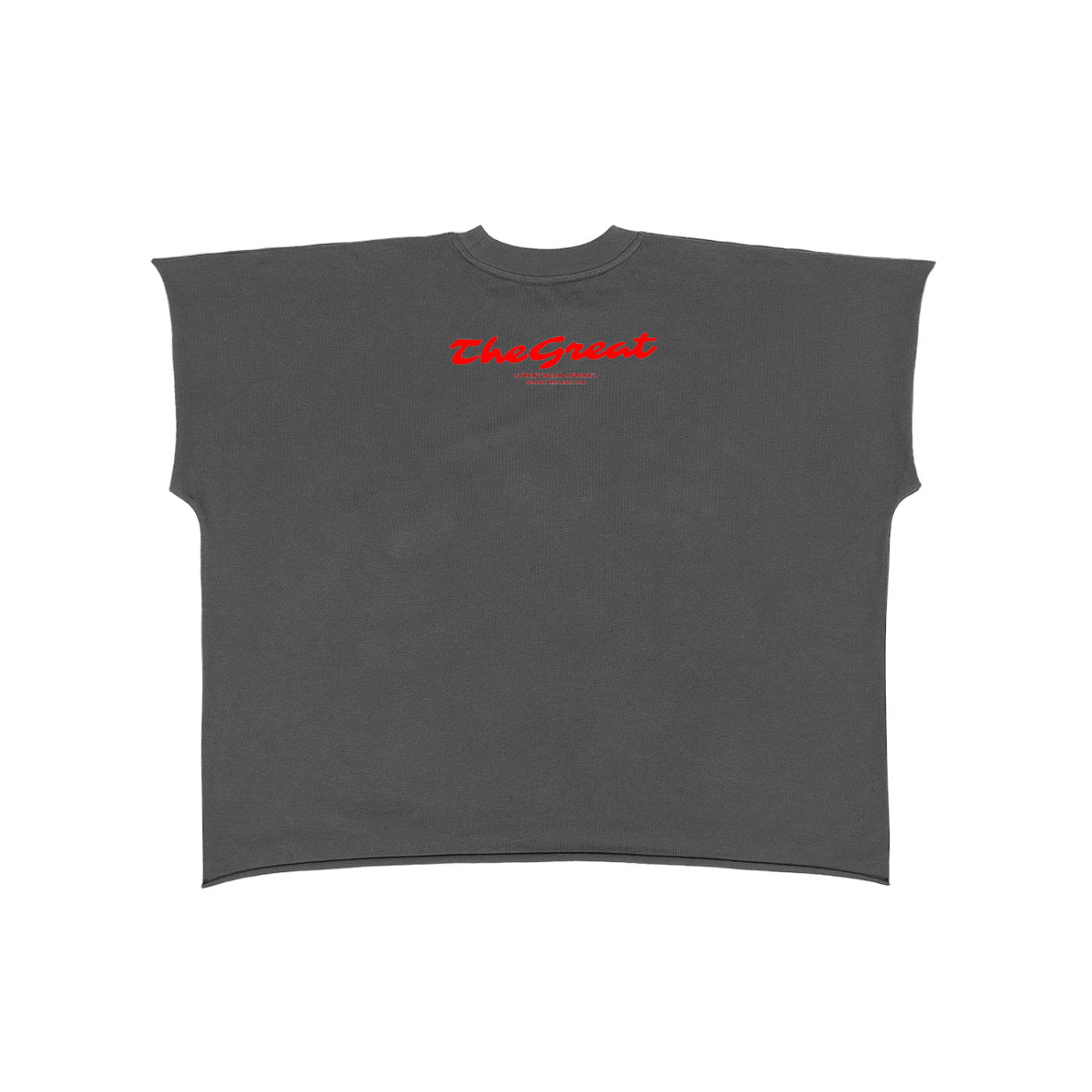 T.G.Lion  Boxy Non-Shrink T-Shirt
